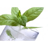 Apa de Menta 